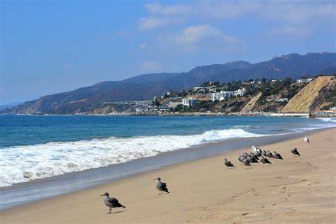 gay beach los angeles|Los Angeles Gay Beaches .